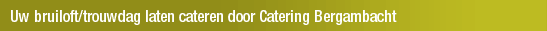 Uw bruiloft/trouwdag laten cateren door Catering Bergambacht